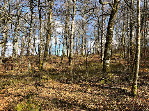 Rastplats Jälluntoftaleden