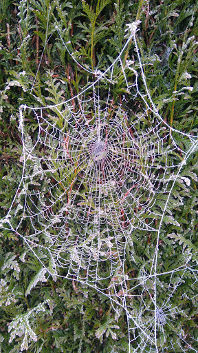 Photo de Ehpad L'aubinage accueil pour personne âgée