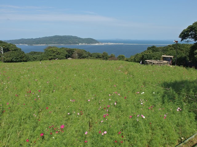 Nokonoshima Island Park