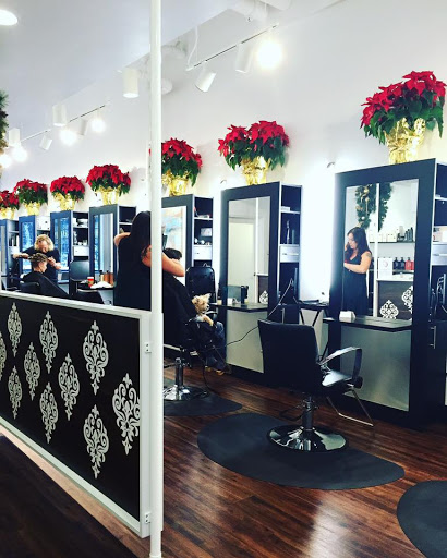 Salon Refine - Visual