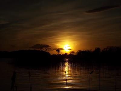 Photos of Killarney Lake Tours