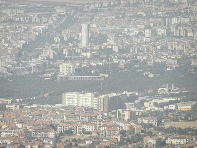 Fırat Üniversitesi Hastanesi Tıp