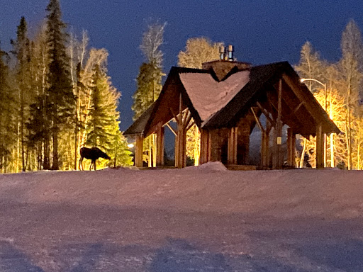 Abbott Loop Community Park - Visual
