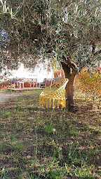 Photo n°25 de Camping Lou Vincen à Vallabrègues (Terrain de camping)