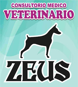 Consultorio Medico Veterinario ZEUS 3