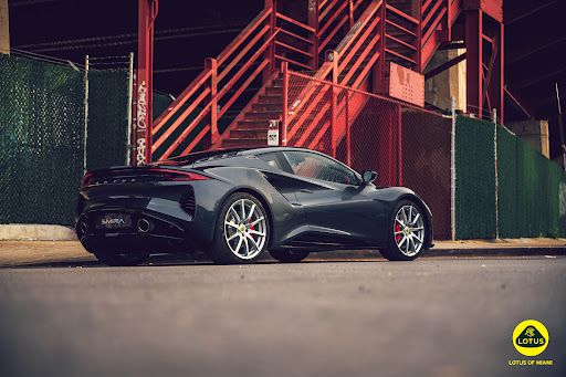 Lotus Miami - Visual