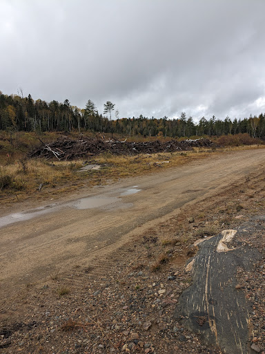 Zec St-Patrice - Thumbnail