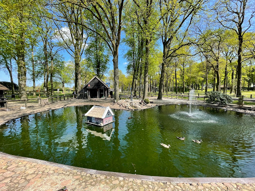 Parkeerplaats eendenvijver - Thumbnail