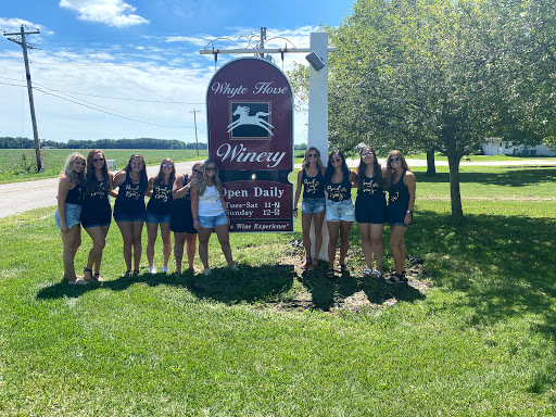 Whyte Horse Winery Gallery - United States