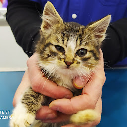 Photo n°1 de Cabinet Vétérinaire du Docteur Jean-François Parent à Paris (Vétérinaire)