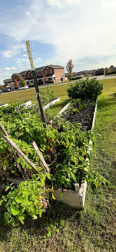 Asbury Seminary Community Garden