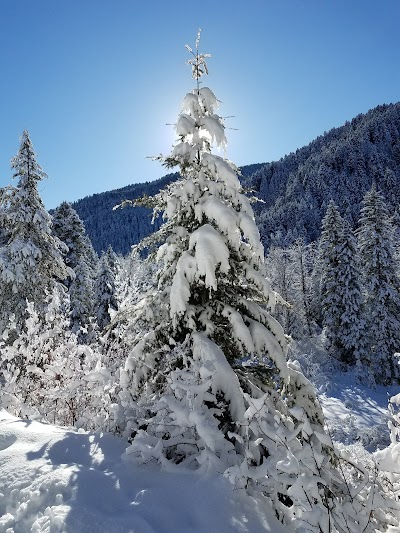 Sourdough/Bozeman Creek Trailhead