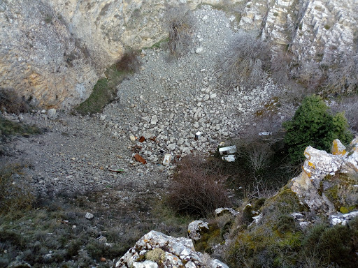 Simas - Visual