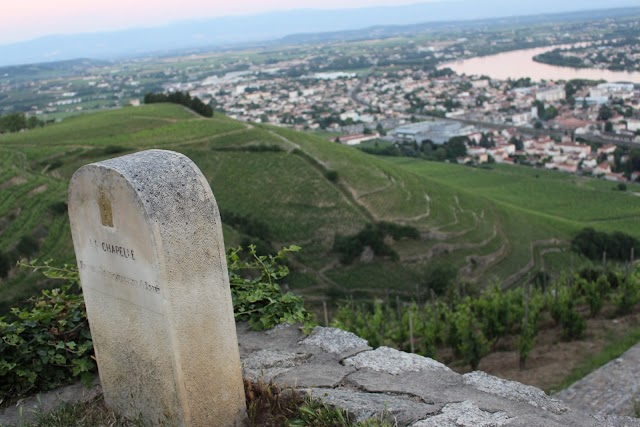 Chapoutier