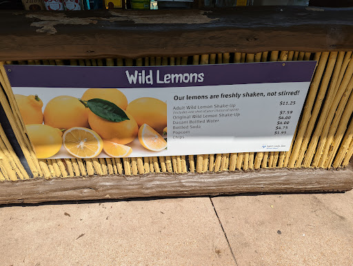 Wild Lemons - Visual