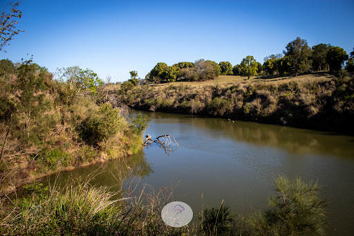 River to Rail Trail - Bridge Street Gallery - Australia