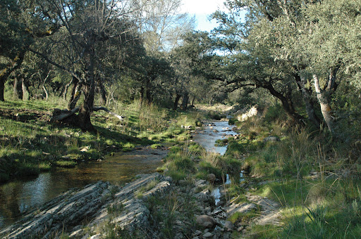 Los Alares de los Montes