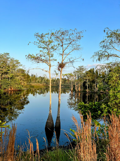 Apoxee Trail Gallery - United States