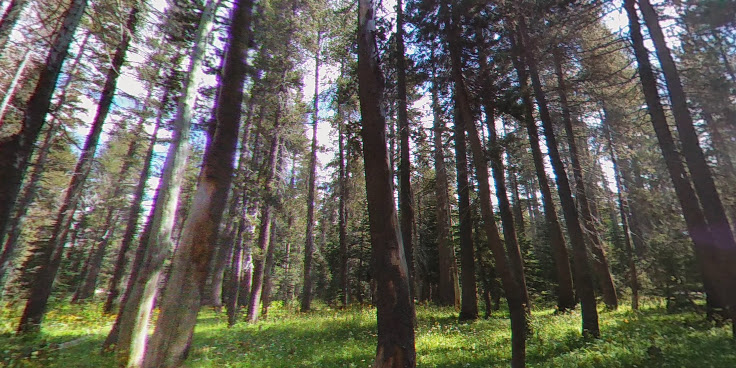 White Wolf Campground by null