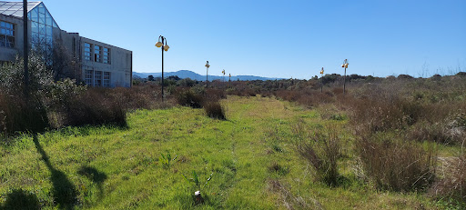Olbia Istituto Agrario - Thumbnail