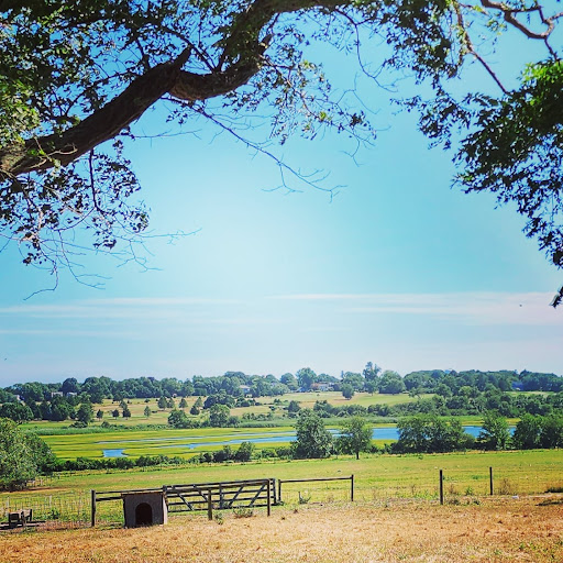 Windmist Farm