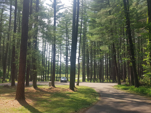Sand Run Picnic Area - Thumbnail