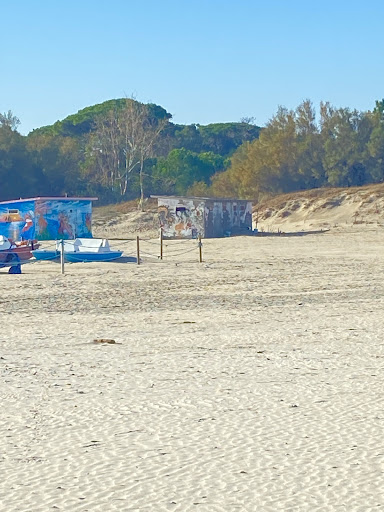 Surfschule, SUP, Kat. Segeln, Kite - Thumbnail