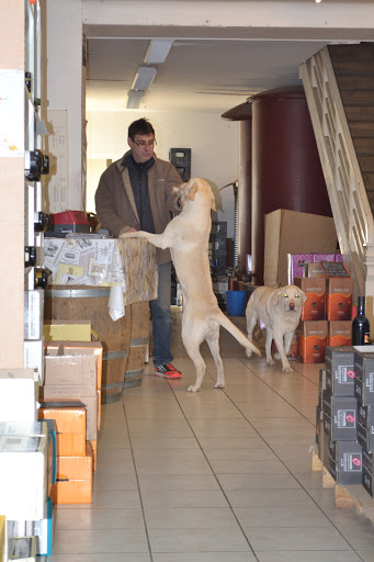Les Vins de Pascal - Thumbnail
