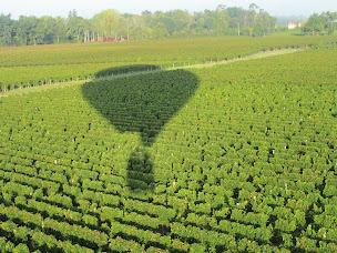 Photo n°12 de Bordeaux montgolfière - François Pont à Mérignas (Agence de vols touristiques en montgolfière)
