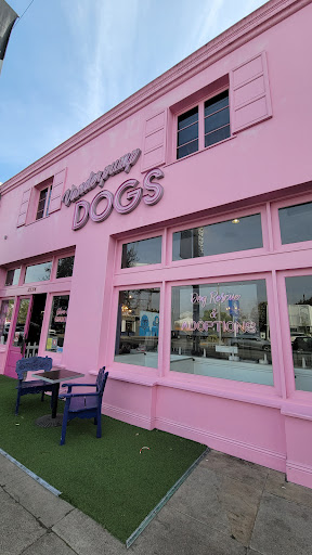 Vanderpump Pets - Visual