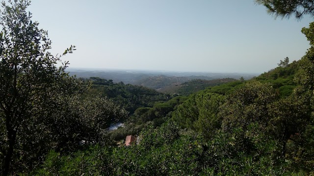 Caldas de Monchique