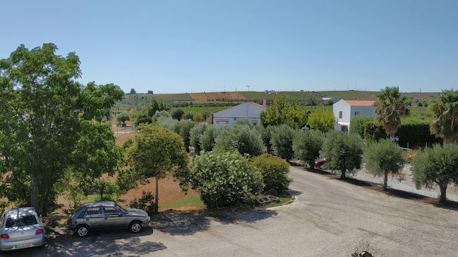 Avaliações doMoira em Reguengos de Monsaraz - Restaurante