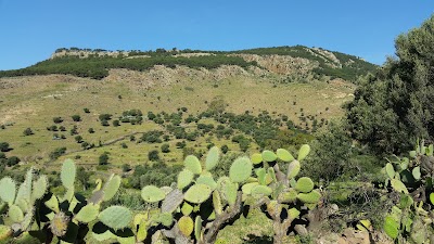 Photos of حانوة لأحباب. حيمي. نسعيد.