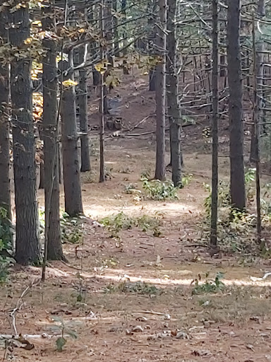 Ravenwood disc golf park Gallery - Canada