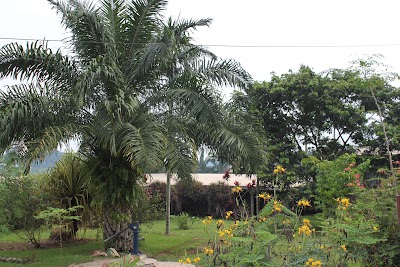 Photos of Home St Augustin