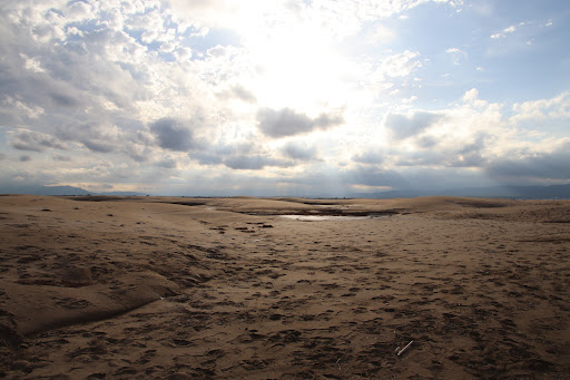 Punta del Fangar - Thumbnail