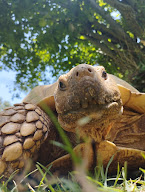 La Ferme des Reptiles à La Bastide-de-Sérou