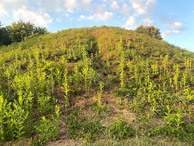 Hartman Mound