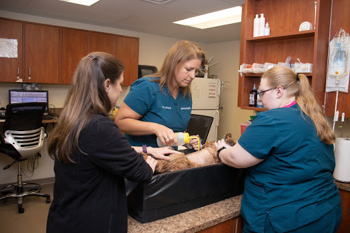 Mayfair Animal Hospital & ER - Thumbnail
