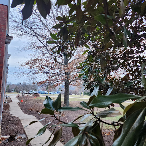The Club at Old Hawthorne Gallery - United States