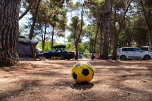 Photo n°18 de Camping Ras l'Bol à Olmeto (Terrain pour camping-cars)