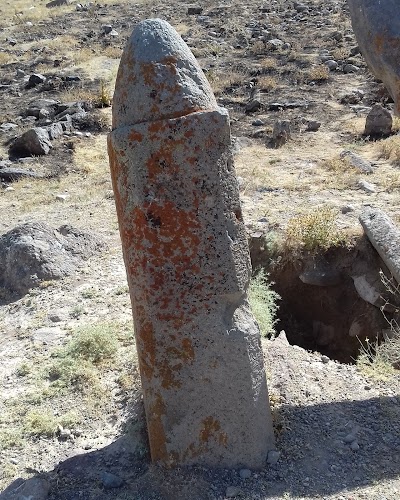 Photos of نخیرداغی