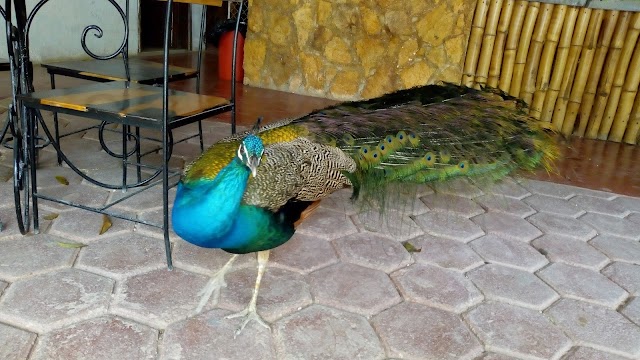 Cenote Suytun