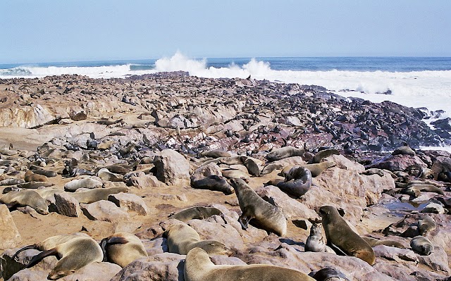 Cape Cross