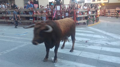 Photos of Asador Casa Antonio