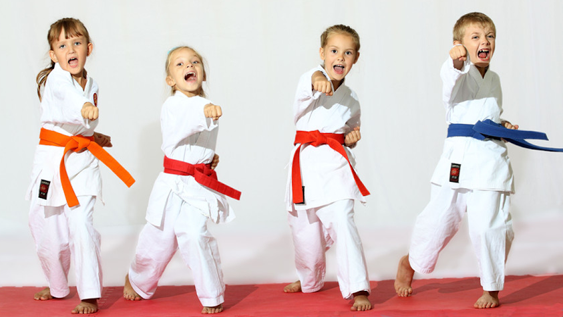 Final Option Self Defense Studio - kung fu in Plymouth, Wisconsin