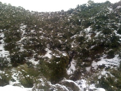 Photos of Sidi Ali Bounab