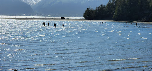 Afognak Beach Parking - Thumbnail