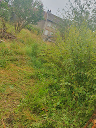Photo n°24 de Weber Services à Merviller (Service d'entretien des pneus)