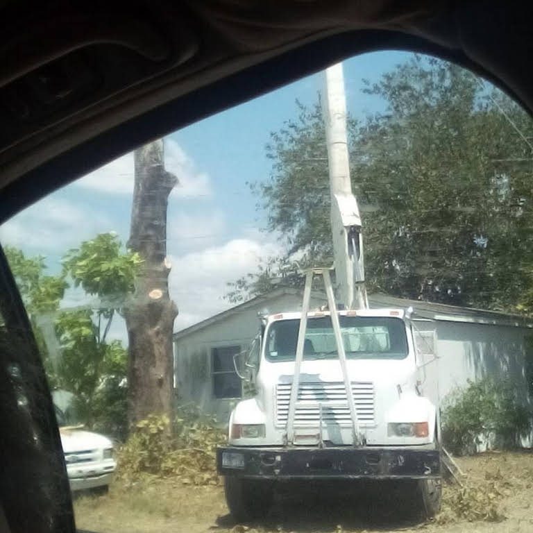 D & T Tree Services, LLC Tree Service